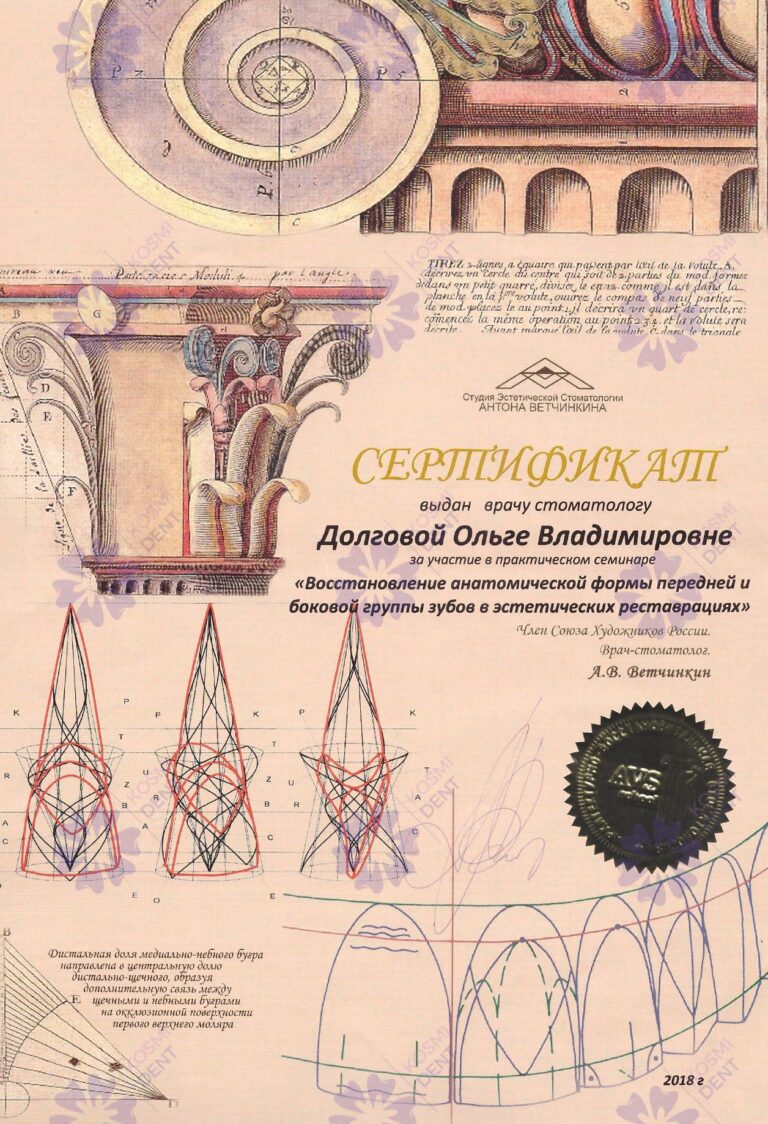Сертификат: Долгова Ольга Владимировна